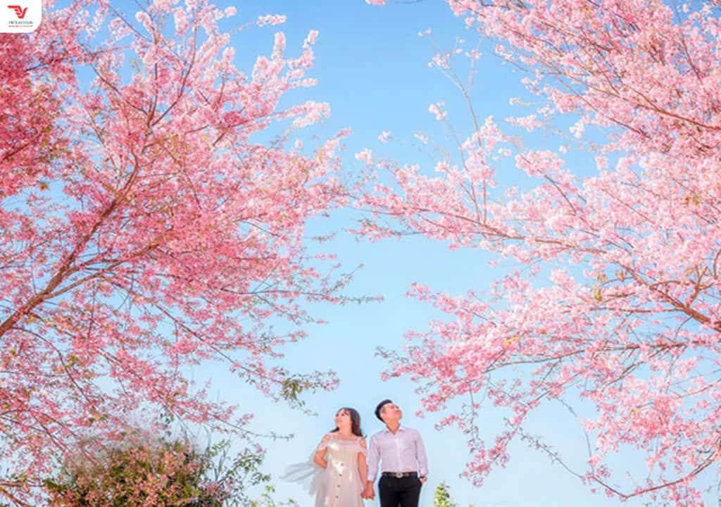 chi phí đi Đà Lạt